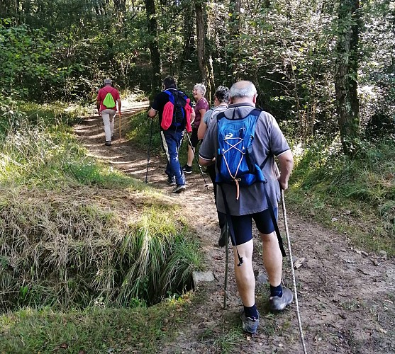20210926_Rando_Gave_et_Coteaux_Baigts_De_Bearn (12)