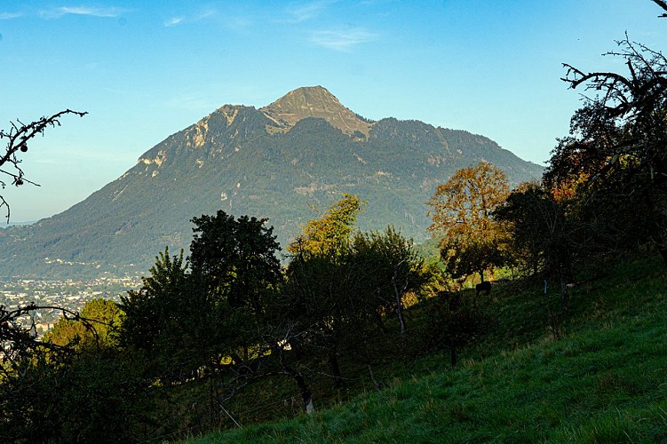 Road from Châtillon-sur-Cluses to Cluses