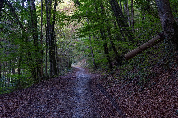 Strada da Châtillon-sur-Cluses a Cluses