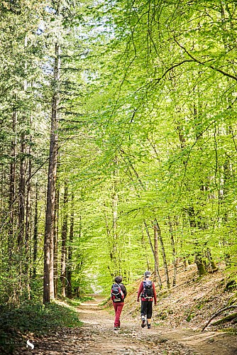 Les Bois de Nades