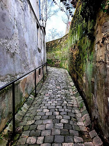 Rue Louis Blanc