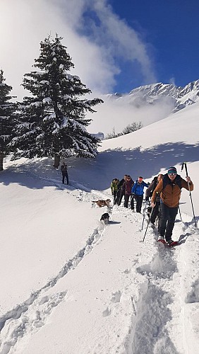 Sentier raquettes : la boucle des Combes