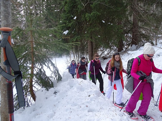 Sentier raquettes : la boucle des Combes