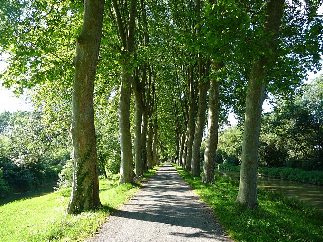 Hiking trail: Along the water