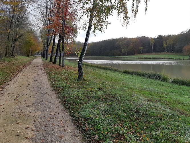 Hiking - Coligny and Etang de Fougemagne