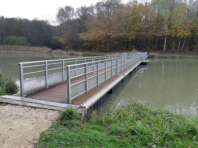 Hiking - Coligny and Etang de Fougemagne
