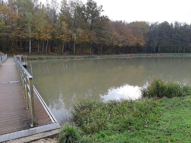 Hiking - Coligny and Etang de Fougemagne