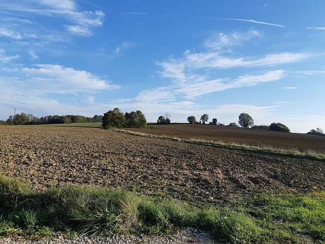 Walk - The Jayat meadow