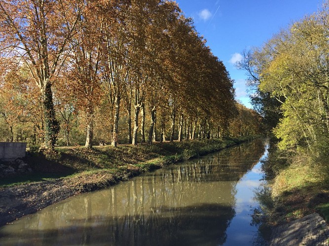 Wandelpad: Ontdekkingspad