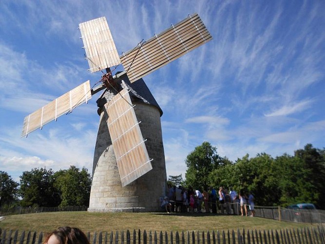 Moulin des Terres Blanches - © Commune de la Tour Blanche