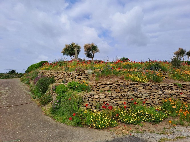 Les murets fleuris de Brenterc'h
