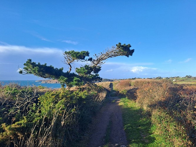 Portion VTT du circuit