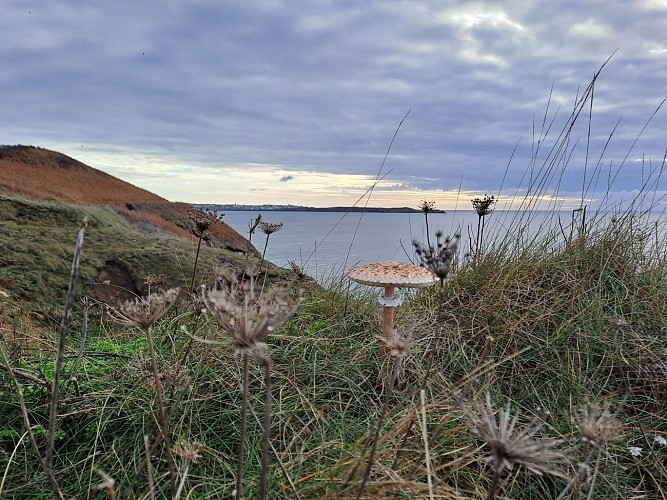 Le littoral nord de Ploumoguer : de Pont ar Floc'h à Porstheven par Kerhornou