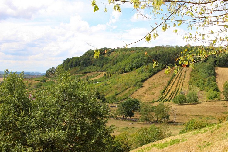 Le sentier du Buizin_Vaux-en-Bugey