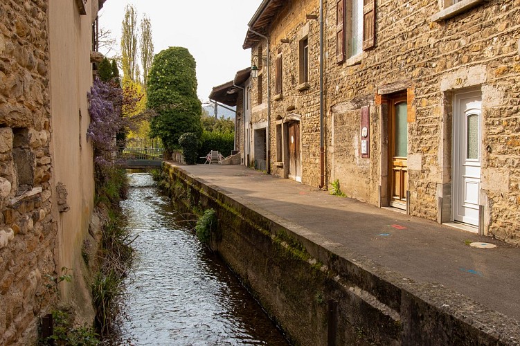 Le sentier du Buizi