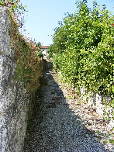 La Tour Blanche 2014 (42)