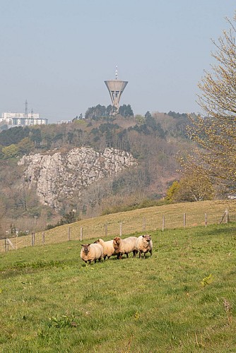 Les vallons
