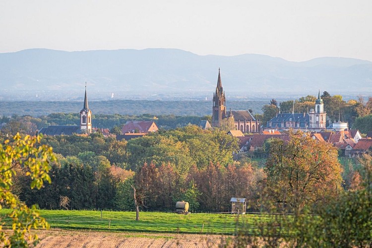Wandertour von Gundershoffen nach Froeschwiller am Reichshoffer See