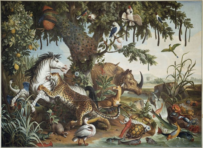 Le cheval rayé, François Desportes