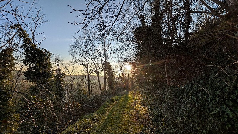 Chemin vers pelouse I