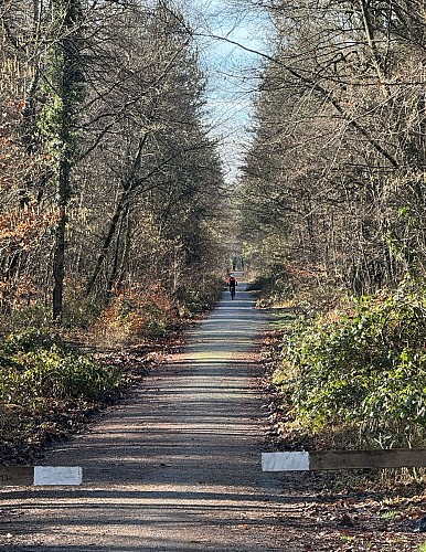 Liaison douce de Fontainebleau à Bois-le-Roi