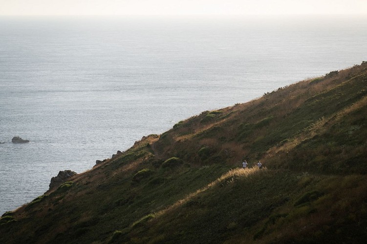 Les falaises