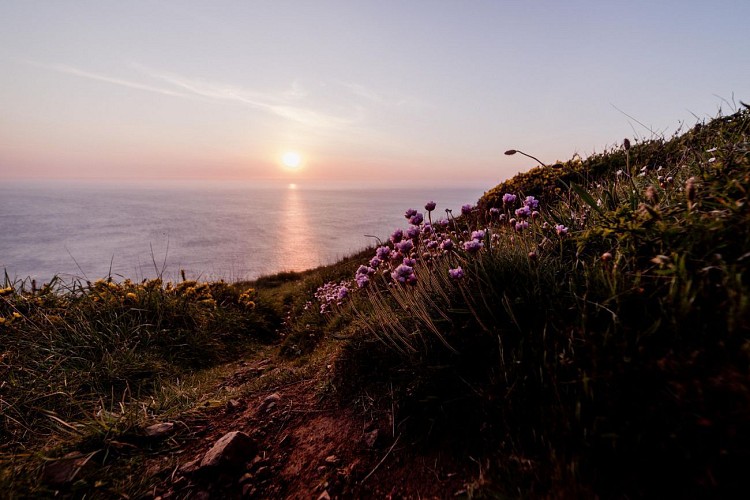 Les falaises