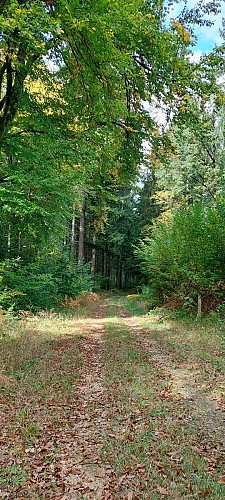 Sentier d'Ariethal
