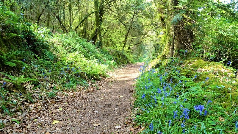 Along the sunken lanes