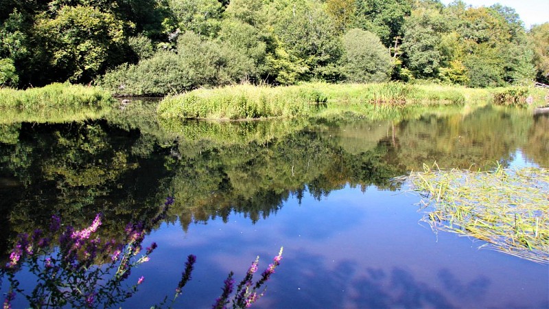 Near the Scave river