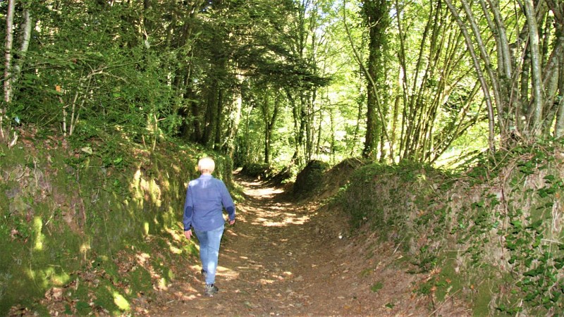 Dans les chemins creux
