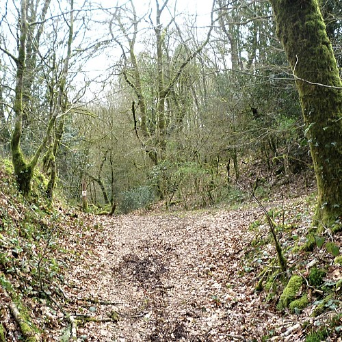 Going up the Scorff Valley
