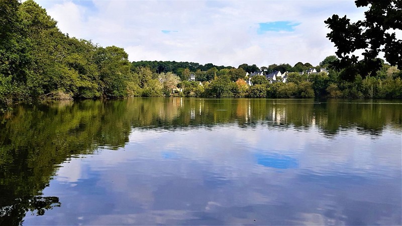 L'étang de Saint-Mathurin