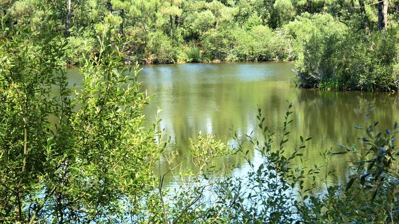 Kerguelen Pond