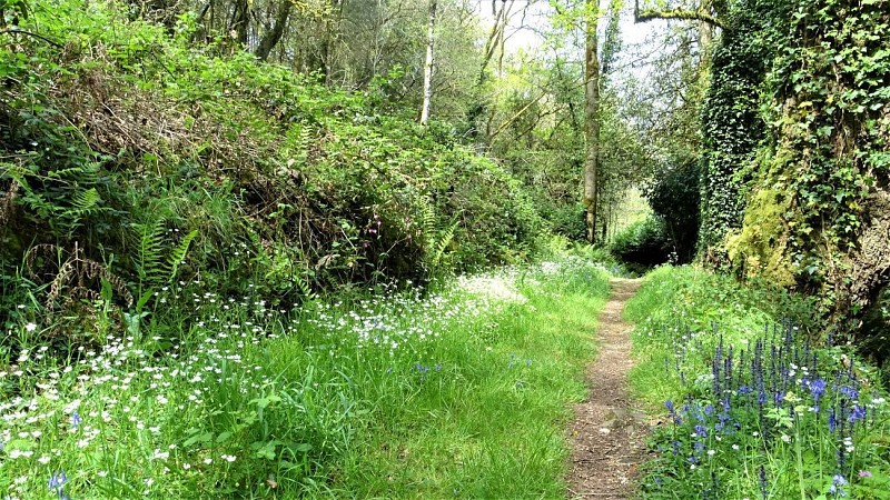 sunken path