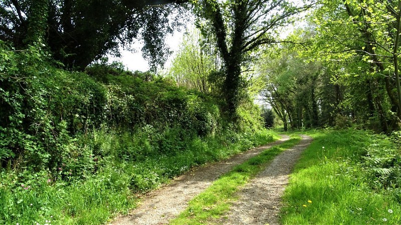 Chemin de campagne