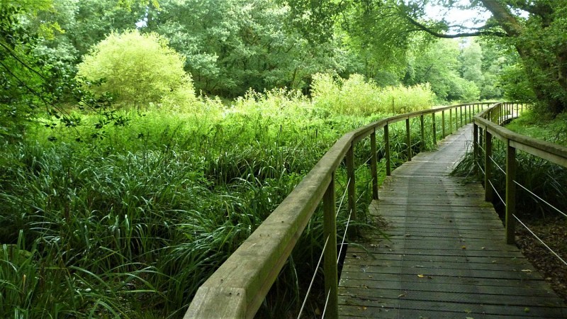 Decking at Pont Screign