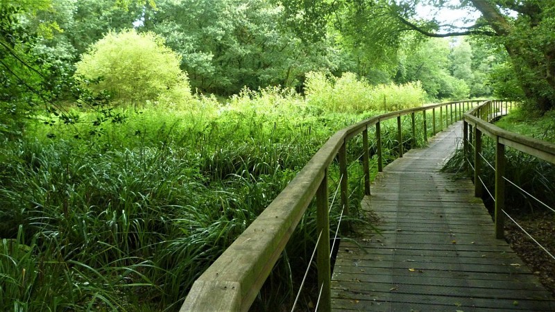 Les platelages de Pont Screign