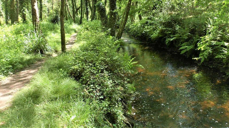En longeant la rivière du Pont du Roc'h