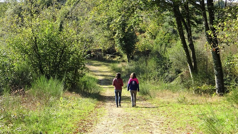 Randonneuses dans la forêt
