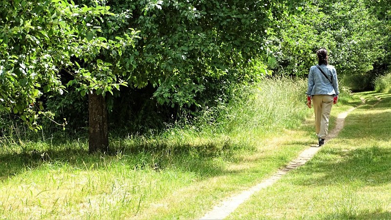 On the trails