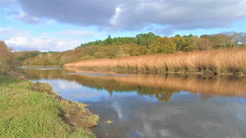 Le Scorff à Saint-Urchaut