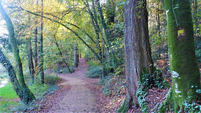 On the old railway line
