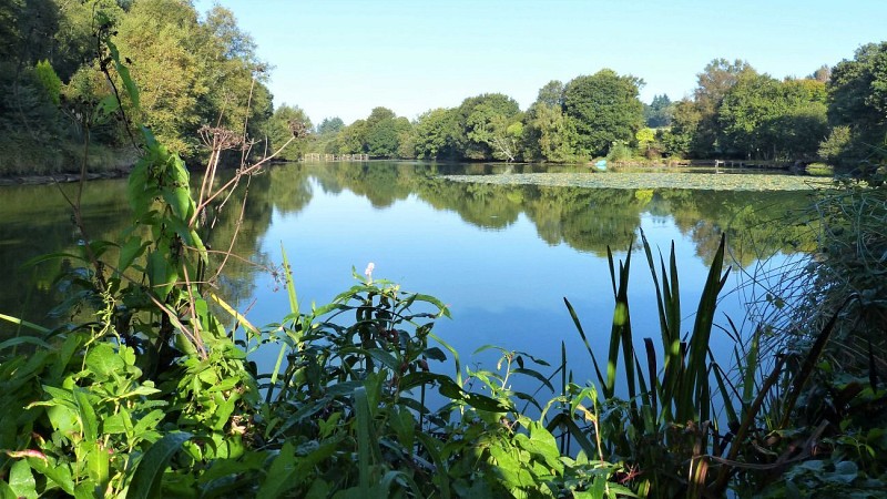 Starting from the Fleuri pond