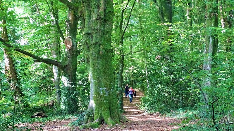Hikers in the walkways