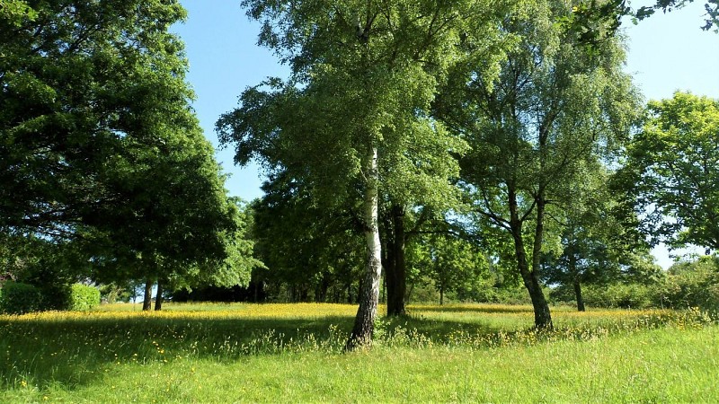 prairies vers Restendrezen
