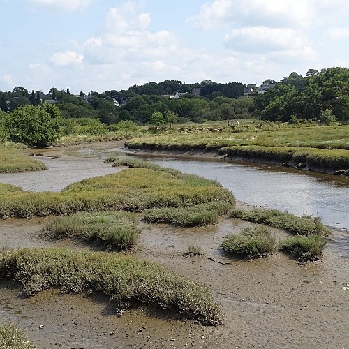 Marsh