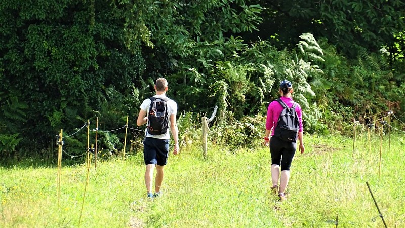 In the countryside