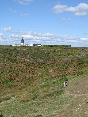 Vue sur le phare de Pen Men