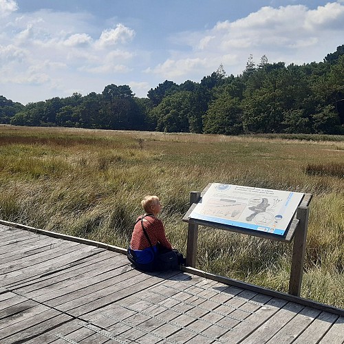 À la découverte des oiseaux